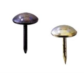 BULLETTE P.TAPPEZZ.   BRUNITE    PZ.27