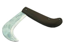 RONCHINE A MOLLA    CM 16