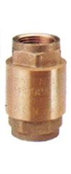 VALV. RITEGNO   3.8 EUROPA A.100
