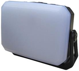 PROIET. LED 30W RIC/POR. P.BANK 3000LM