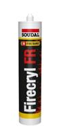 SILICONE FIRECRYL FR ANTIF.BIAN. ML310