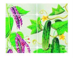 RETE HORTONOVA MM170X150 MT 2X1000