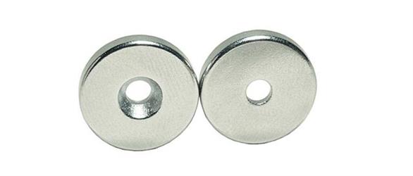 CALAMITA CON FORO IN NEODIMIO 20X3 MM