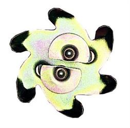 TENDIFILI BREVETTATI X VIGNE N° 1