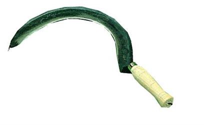 FALCIOLE PAPILLON TEMPO N 000