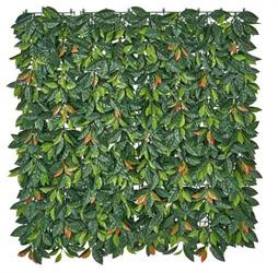 SIEPE SINTET.FOGLIE PHOTINIA PANN.1X1