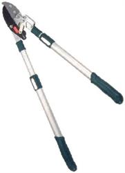 TAGLIARAMI TAG.BAT.CRICCO M.CI ALL.100