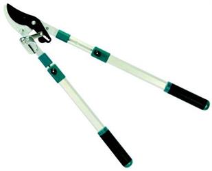 TAGLIARAMI PASS.CRICCO M.ALLUM CM 100