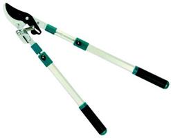 TAGLIARAMI PASS.CRICCO M.ALLUM CM 100