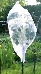 CAPPUCCI TESSUTO NON TESSUTO MT 1,6X2