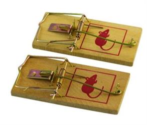 TRAPPOLA X TOPI IN LEGNO CM9,8X4,8 PZ2