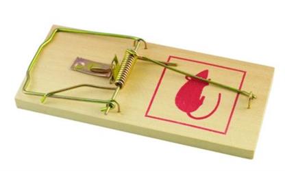 TRAPPOLA X TOPI IN LEGNO CM17,5X8