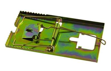 TRAPPOLE X TOPI METALLO GALV.CM16X8,8