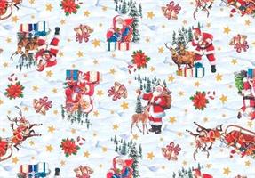 TOVAGLIATO PVC/TNT H.140 NATALE2 MT.20