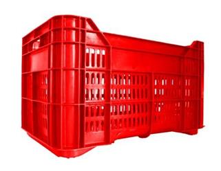 CASSE PLASTICA FORATE PER UVA LT 40