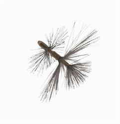 PUNTE RICAMBIO X LAVABOTTIGL.ROTATIVO