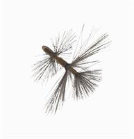 PUNTE RICAMBIO X LAVABOTTIGL.ROTATIVO