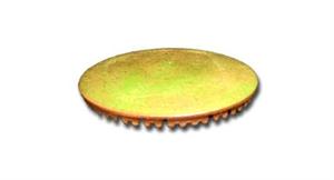 SPARTIFIAMMA RAPIDI X FORNELLI PARKER