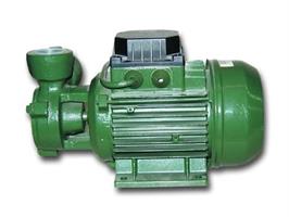 ELETTROPOMPE PERIF.KPS30.16M-DAB HP0,4