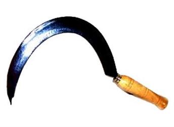 FALCIOLA DRONERO N.0 1/2 LARGA BOLZANO