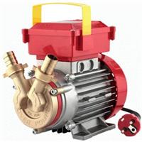 ELETTROPOMPE X TRAVASO HP 0,8  25