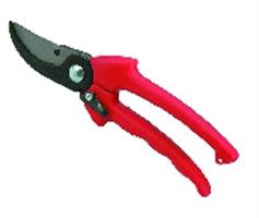 FORBICI DA VIGNA ARCHMAN N 2 CM 21