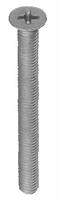 VITI P.METAL. TP INOX 4X20       PZ. 6