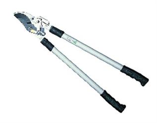 TAGLIARAMI T.PASS.CRICCO M.CI ALLUM.76