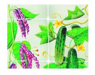 RETE HORTONOVA 13FG 2,04X50 MT